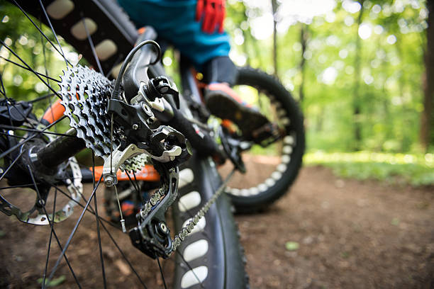 istock Rear tire on fat bike 537602002