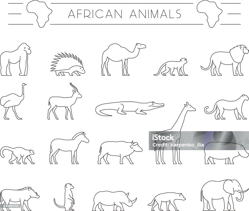 Vector Set Of Outline African Animals Stock Illustration - Download Image  Now - Africa, Animal, Antelope Canyon - iStock