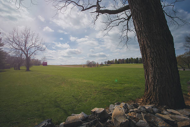 istock Wide Angle Shot of Green Field with Red Barn 537606892