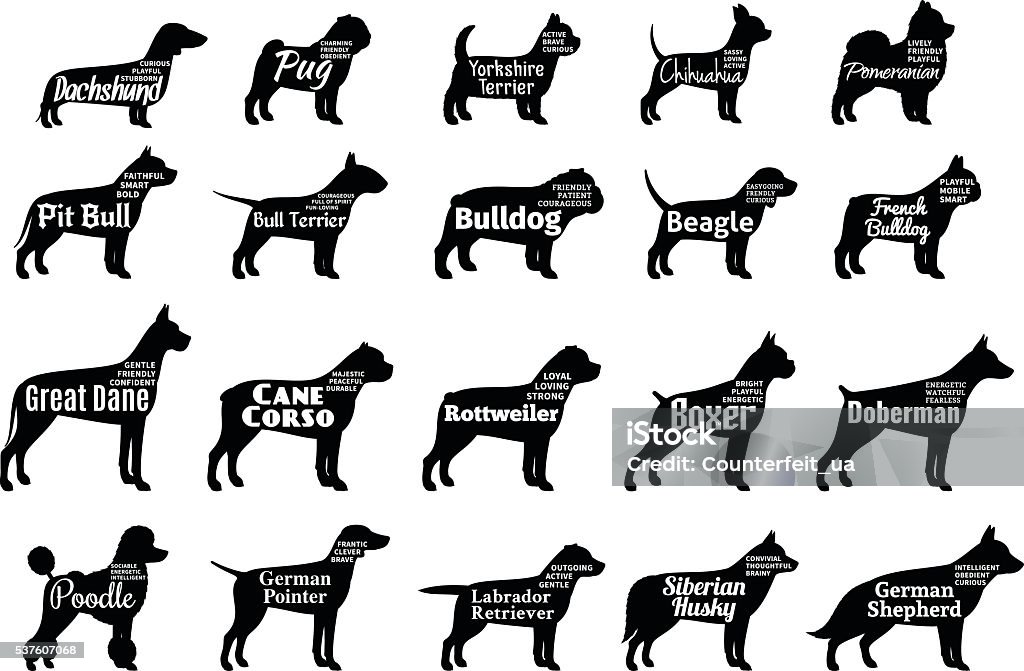 Vector dog silhouettes collection isolated on white Vector dog breeds silhouettes collection isolated on white. Dog icons collection for cynology, pet clinic and pet shop. Dog breeds names and personality description In Silhouette stock vector