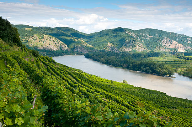 Wachau - View to the Danube Valley View over the Danube. Photographed down the Danube from Weissenkirchen in the direction of Dürnstein. Wachau, Austria danube valley stock pictures, royalty-free photos & images