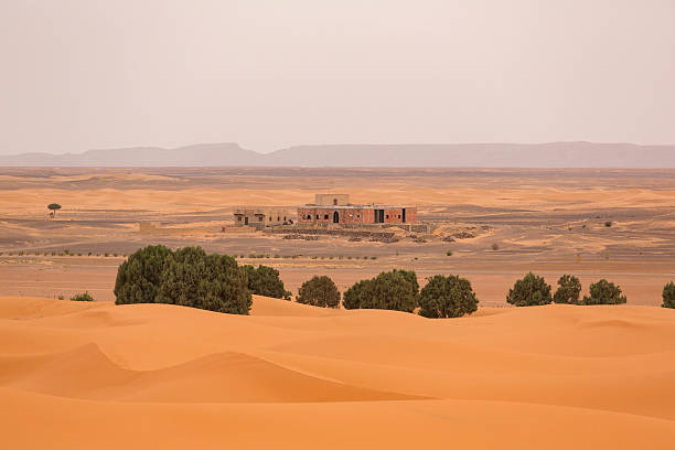 saharze - landscape desert wave pattern erg chebbi dunes zdjęcia i obrazy z banku zdjęć