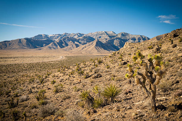 istock Californian Land 537609110