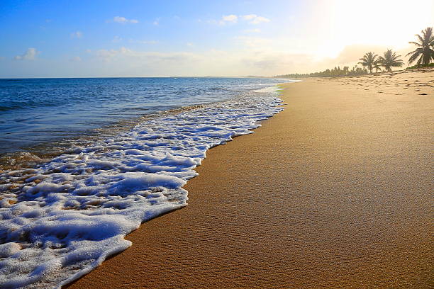 Tropical paradise: idyllic Praia do Forte beach sunset, Bahia state, Brazil
