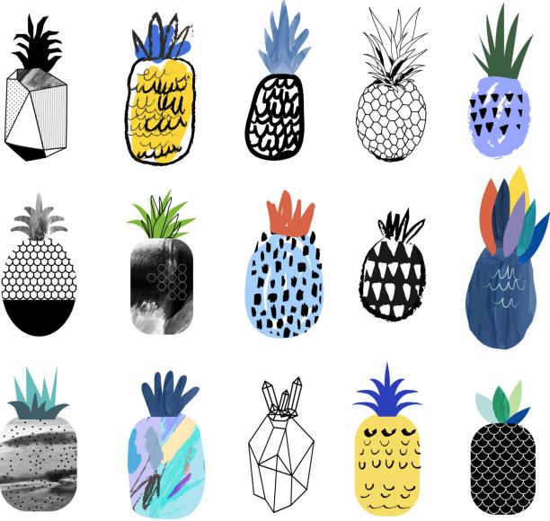 Collection of cute pineapples with different textures. Collection of cute pineapples with different textures. Vector. Isolated drawing of the hawaii islands stock illustrations