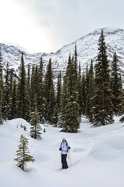 istock Snowshoer makes fresh tracks in deep snow, mountains 537611805