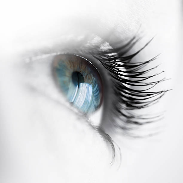 istock Beautiful eye color in macro 537613324