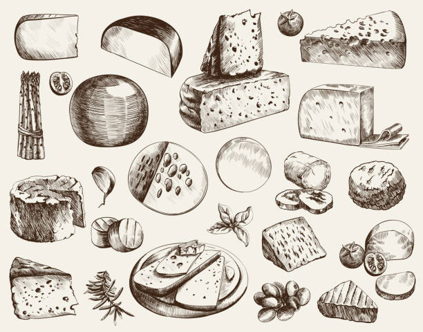 ilustrações de stock, clip art, desenhos animados e ícones de cheesemaking - swiss francs illustrations