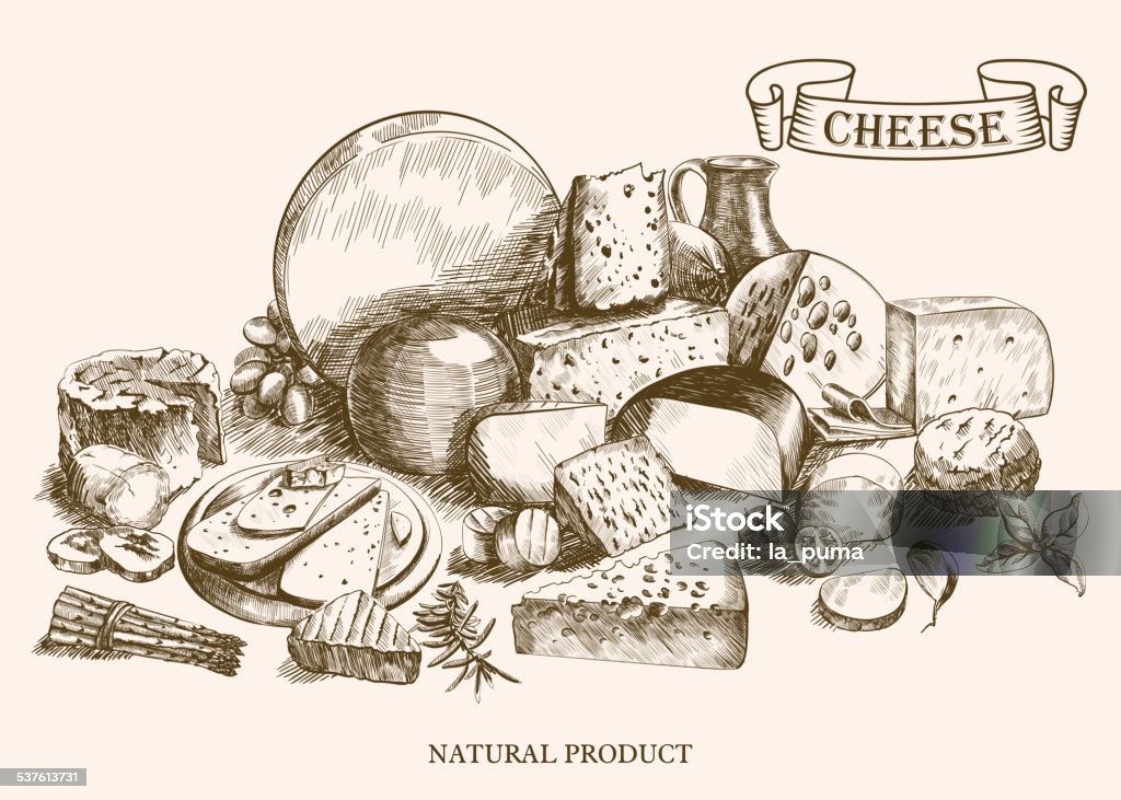 cheesemaking cheesemaking various types of cheese set of vector sketches on a white background No People stock vector