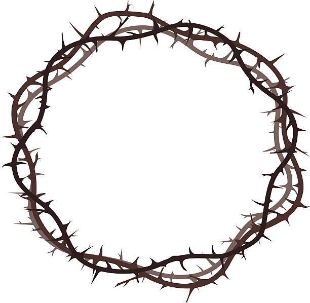 thorn crown on the white background thorn crown on the white background the passion of jesus stock illustrations