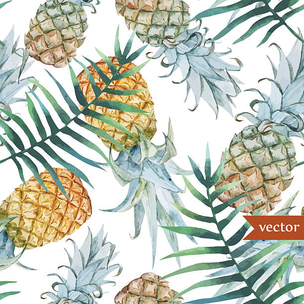 워터컬러, 열대, 파인애플, 이국적이다, 패턴 - hawaiian orchid stock illustrations