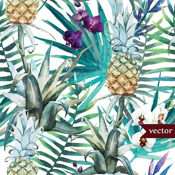 ilustraciones, imágenes clip art, dibujos animados e iconos de stock de acuarela, tropical, piña, exóticos, patrón - hawaiian orchid