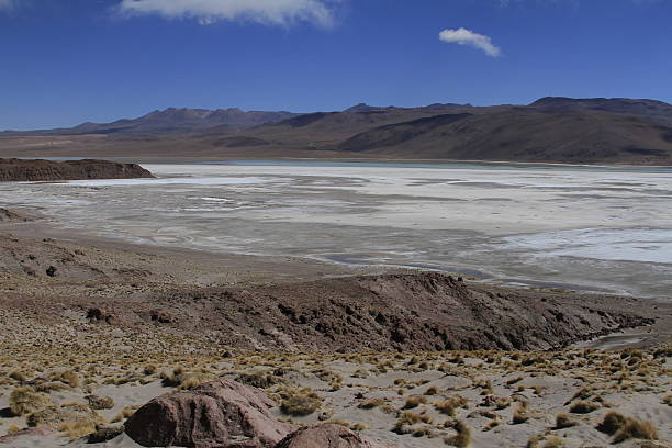istock Eduardo Alveroa, Uyuni Bolivia 537614381