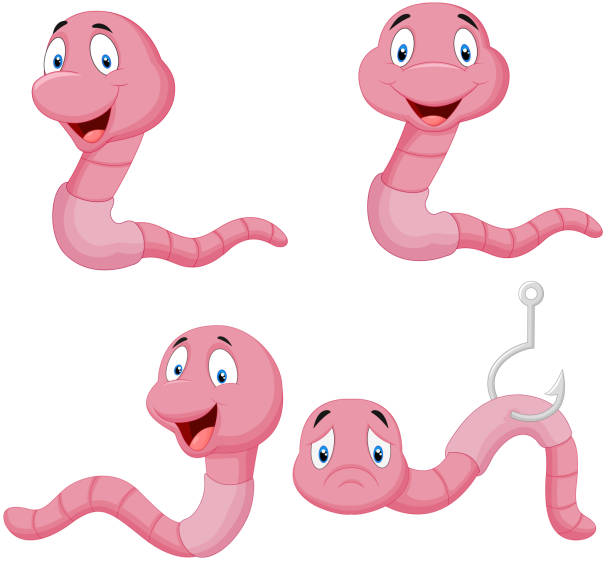 ilustrações de stock, clip art, desenhos animados e ícones de mulher minhoca coleção de - worm cartoon fishing bait fishing hook