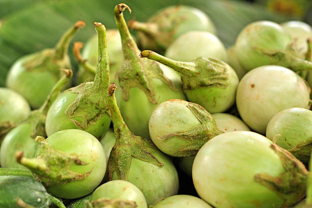istock fresh eggplant in the nature 537615571