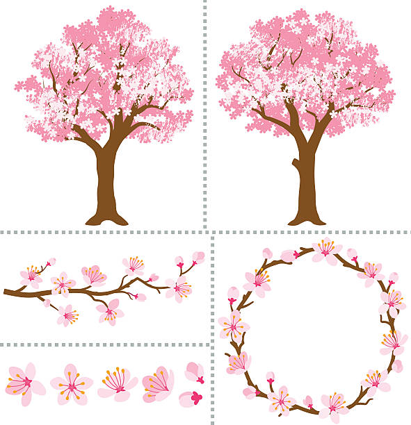 Cherry Tree Design Vector 580+ Cherry Blossom Tree Branch Clip Art Stock Illustrations, Royalty ...