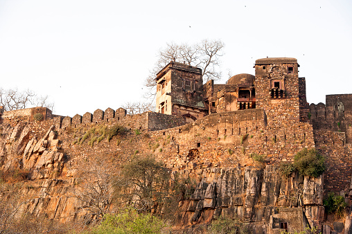 Ranthambore Fort, Rajastán de India photo