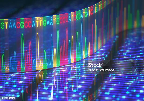 Dnatest Sanger Abfolge Stockfoto und mehr Bilder von DNA - DNA, DNA-Sequenzierungsgel, Genforschung