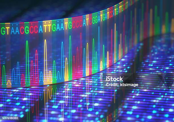 Secuencia De Adn Sanger Foto de stock y más banco de imágenes de ADN - ADN, Gel de secuenciación , Investigación genética