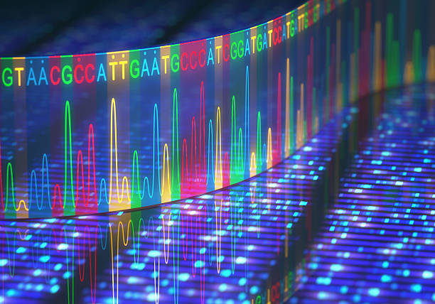 DNA Test Sanger Sequencing 3D illustration of a method of DNA sequencing. rna stock pictures, royalty-free photos & images