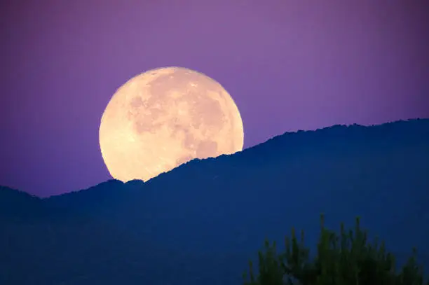 Photo of Super Moon at Dawn
