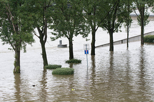 istock Seine river floods in Paris 537619240