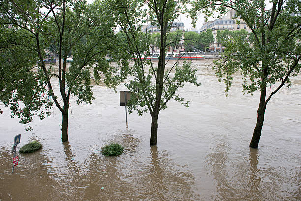 istock Seine river floods in Paris 537619658
