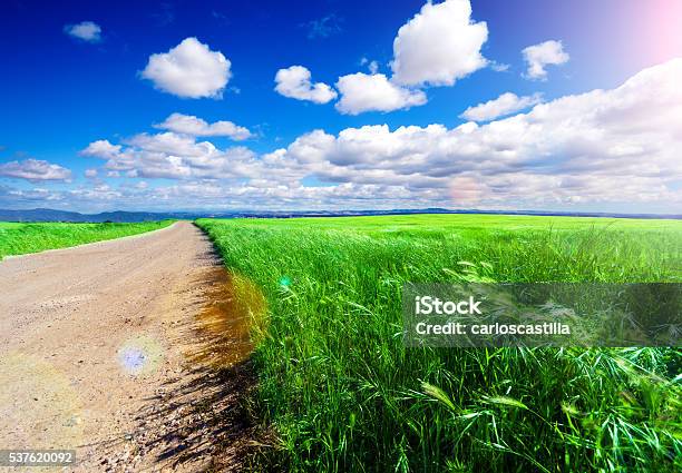 Nature Sunset Scenery And Road Stock Photo - Download Image Now -  Adventure, Agricultural Field, Backgrounds - iStock