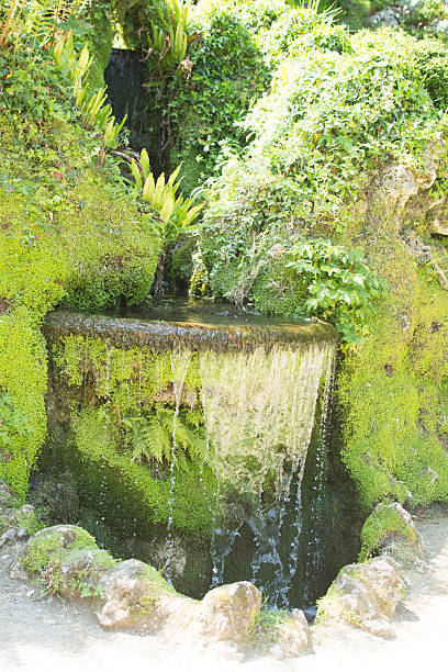 istock water feature in a mature garden 537621312