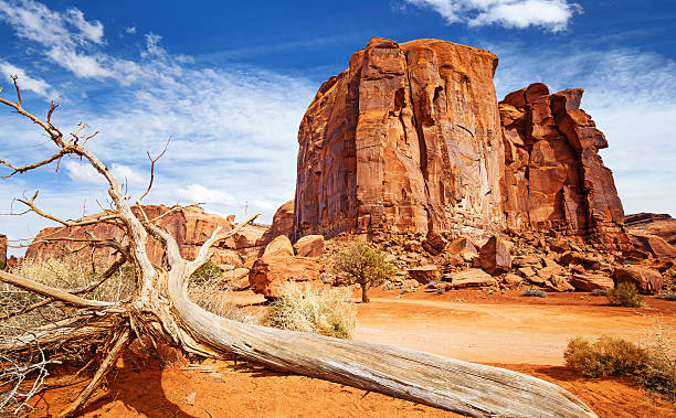 istock red rock formation and dead trunk in the foreground 537621760