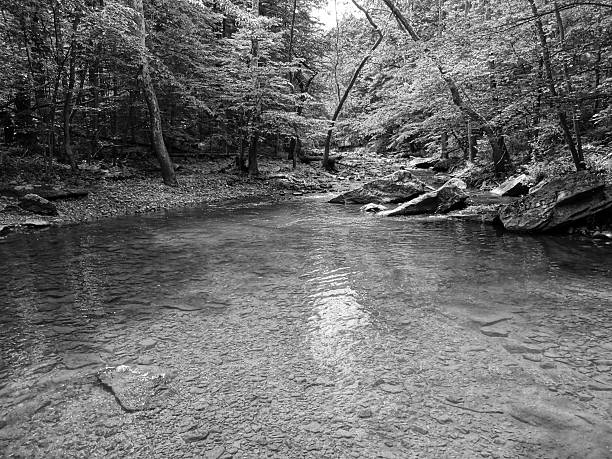 istock Friend's Creek Trout Pool 537621772
