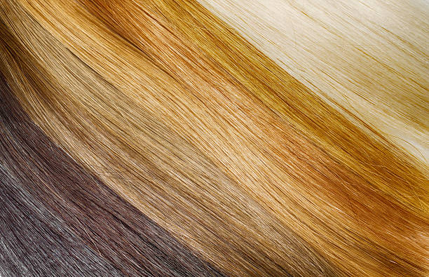 istock Premium hair extension palette with color samples from blonde to 537622776