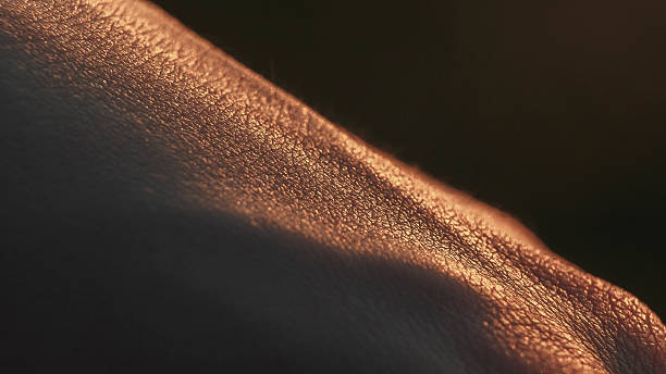 piel de la mano humana acercamiento - covered nudity fotografías e imágenes de stock
