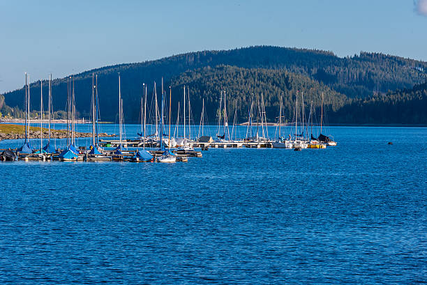istock Schluchsee lake in the blackforest 537623768