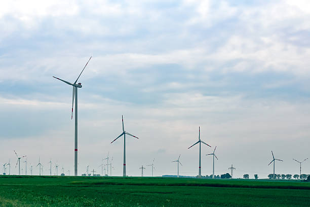 istock Lots of windmills on a green field 537625686