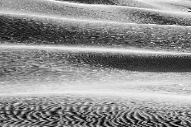 istock beautiful view of the coastal dunes 537626140