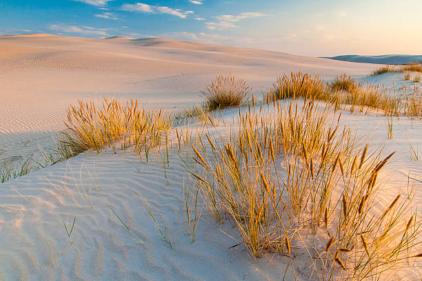 istock beautiful view of the coastal dunes 537626204