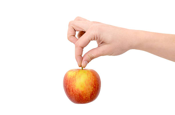 istock Female hand holding a red apple on a white background 537628382