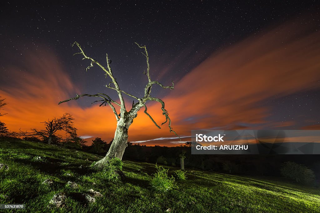 Hangman's tree Cloud - Sky Stock Photo