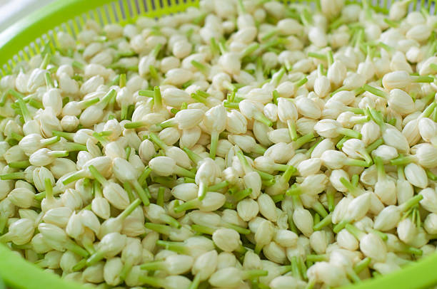 istock Indian jasmine flower group in basket 537632234