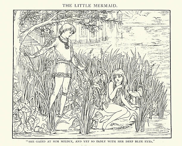 The Little Mermaid She Gazed at him mildly Vintage engraving of a scene from the Little Mermaid. A fairy tale by the Danish author Hans Christian Andersen about a young mermaid willing to give up her life in the sea and her identity as a mermaid to gain a human soul. hans christian andersen stock illustrations
