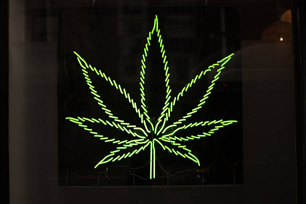 istock Medical Marijuana neon sign leaf 537636558