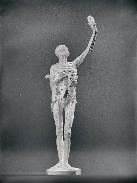 3D reproduction of Le Transi by Rene de Chalon