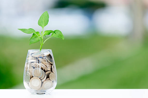 istock Coins and seed in clear glass on table 537638002