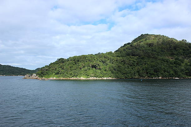istock Rain Forest and Sea - Brazil 537639240