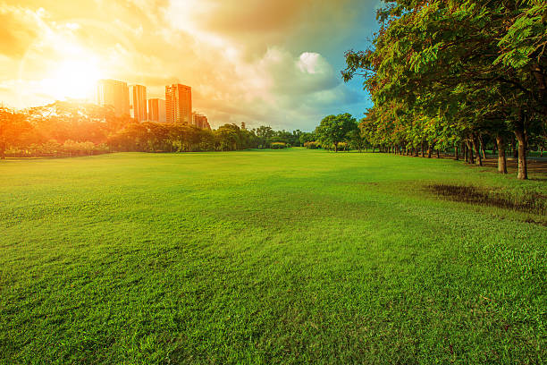 istock beautiful morning light in public park 537639770