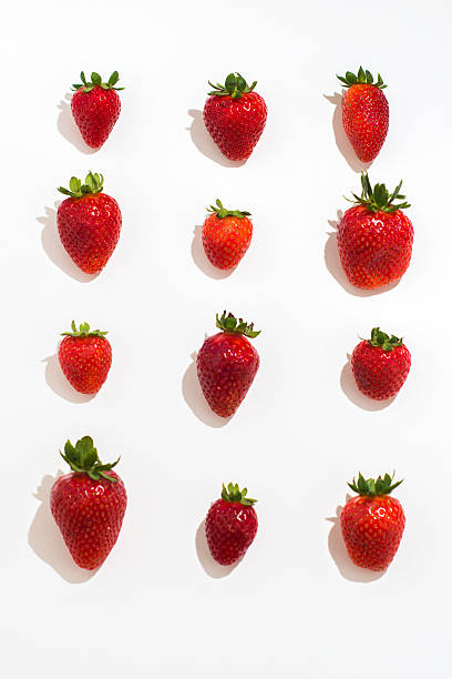 Strawberry fruit part I