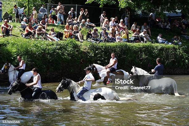 Appleby Horse Fair Cumbria Stock Photo - Download Image Now - England, Horse, Traditional Festival