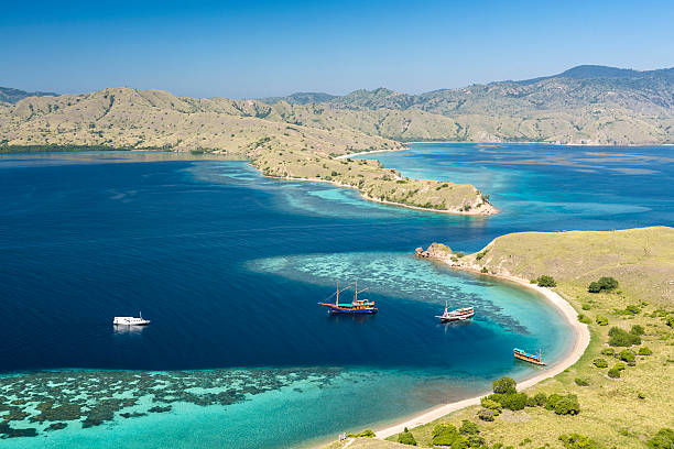 gili lawa darat no parque nacional komodo - labuanbajo - fotografias e filmes do acervo