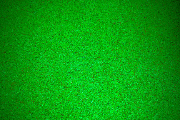 istock Green recycled wooden plate background. 537641853